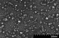 Рис. 8а. АСМ-изображение пленки на поверхности кремния, полученной из лиозоля нанографитов в этаноле