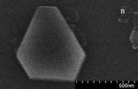 Рис. 8в. АСМ-изображение кристаллической углеродной структуры, сформировавшейся вместе с пленкой нанографитов на поверхности кремния